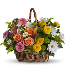 Sweet Tranquility Basket from Victor Mathis Florist in Louisville, KY